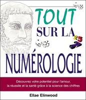 Tout sur la numérologie, découvrez votre potentiel pour l'amour, la réussite et la santé grâce à la science des chiffres