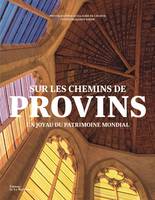 Sur les chemins de Provins : un joyau du patrimoine mondial, Un joyau du patrimoine mondial