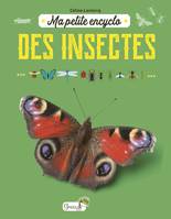 Ma petite encyclo des insectes