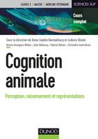 Cognition animale / perception, raisonnement et représentations, Perception, raisonnement et représentations