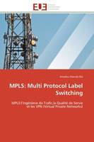 MPLS: Multi Protocol Label Switching, MPLS:l'Ingénierie de Trafic,la Qualité de Servie et les VPN (Virtual Private Networks)