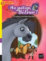 Au galop, Silver !, 2, Un poney star dans mon box