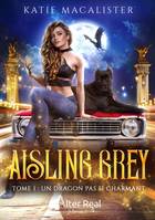 Aisling Grey, 1, Un dragon pas si charmant, Aisling Grey #1