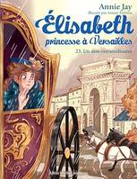 Un don extraordinaire, Elisabeth, princesse à Versailles - tome 23