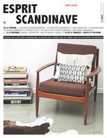 Esprit scandinave, Toutes les clés pour comprendre le design des années 1950 et créer chez soi un esprit scandinave