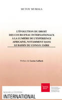 L’évolution du droit des cours d’eau internationaux à la lumière de l’expérience africaine, notamment dans le bassin du Congo/Zaïre