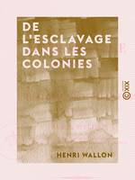 De l'esclavage dans les colonies - Pour servir d'introduction à l'Histoire de l'esclavage dans l'antiquité