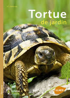 La Tortue de jardin