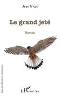 Le grand jeté, Roman