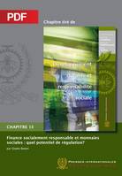 Finance socialement responsable et monnaies sociales (Chapitre PDF), Quel potentiel de régularisation?