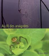 Au Fil des araignées