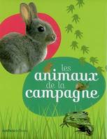 Les animaux de la campagne, la chouette, l'écureuil, l'escargot, la grenouille, le hérisson, le lapin