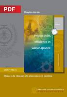 Mesure de réseaux de processus en continu (Chapitre PDF), Chapitre 5 Productivité, efficience et valeur ajoutée