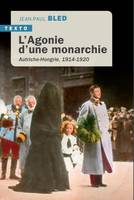 L'Agonie d'une monarchie, Autriche-Hongrie, 1914-1920