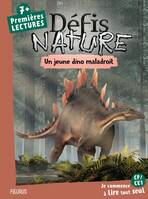 Défis nature - Premières lectures Un jeune dino maladroit