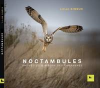 Noctambules, Chouettes et hiboux des campagnes