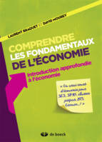 Comprendre les fondamentaux de l'économie, Introduction approfondie à l'économie