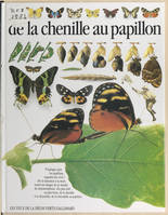 De la chenille au papillon