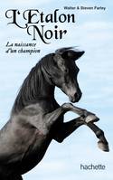 L'étalon noir - La naissance d'un champion