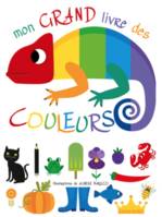 Mon grand livre des couleurs