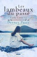 1, Les lambeaux du passé, Lark Cove, T1