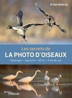 Les secrets de la photo d'oiseaux, Repérages – Approche – Affûts – Prise de vue