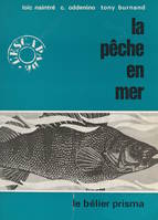 La pêche en mer