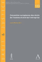 CONVENTION EUROPEENNE DES DROITS DE L'HOMME ET DROIT DE L'ENTREPRISE - L'INFLUENCE DES DROITS DE L'H, L'INFLUENCE DES DROITS DE L'HOMME DANS LES AFFAIRES