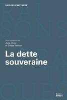 Dette souveraine - État et économie politique