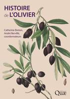 Histoire de l'olivier, l'arbre des temps