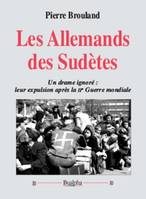 Les Allemands des Sudètes, Un drame ignoré, leur expulsion après la iie guerre mondiale