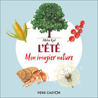 L'été, Mon imagier nature