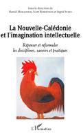 La Nouvelle-Calédonie et l'imagination intellectuelle, Repenser et reformuler les disciplines, savoirs et pratiques