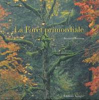 LA FORET PRIMORDIALE