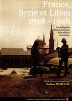 France, Syrie et Liban 1918-1946, Les ambiguïtés et les dynamiques de la relation mandataire