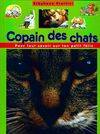 Copain des chats