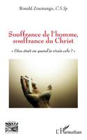 Souffrance de l'homme, souffrance du Christ, 