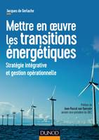 Mettre en oeuvre les transitions énergétiques - Stratégie intégrative et gestion opérationnelle, Stratégie intégrative et gestion opérationnelle