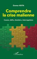 Comprendre la crise malienne, Causes, défis, chantiers, interrogations