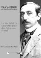 Loi sur la laïcité, La grande pitié des églises de france