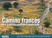 Le Camino francés vers Saint-Jacques-de-Compostelle, vers Saint-Jacques-de-Compostelle