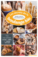 Les secrets de la boulange bio / 110 recettes sucrées et salées avec astuces et pas à pas, 110 recettes sucrées et salées, avec astuce et pas à pas