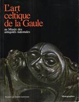 L'art celtique de la gaule au Musée des antiquites nationales