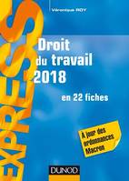 Droit du travail 2018 - 22e éd., en 22 fiches -  A jour des ordonnances Macron