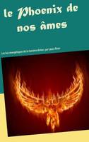 Le phoenix de nos âmes, Les lois énergétiques de la lumière divine