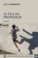 Le fils du professeur, Roman