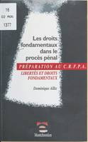 Les droits fondamentaux dans le procès pénal, libertés et droits fondamentaux