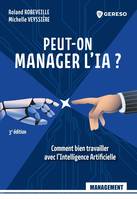 Peut-on manager l'IA ?, Comment bien travailler avec l'Intelligence Artificielle