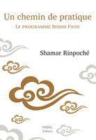 Un chemin de pratique, Le programme bodhi path