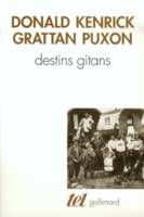 Destins gitans, Des origines à la «solution finale»